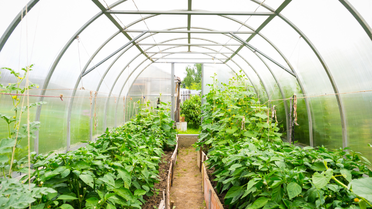 Agronomy Laboratory
